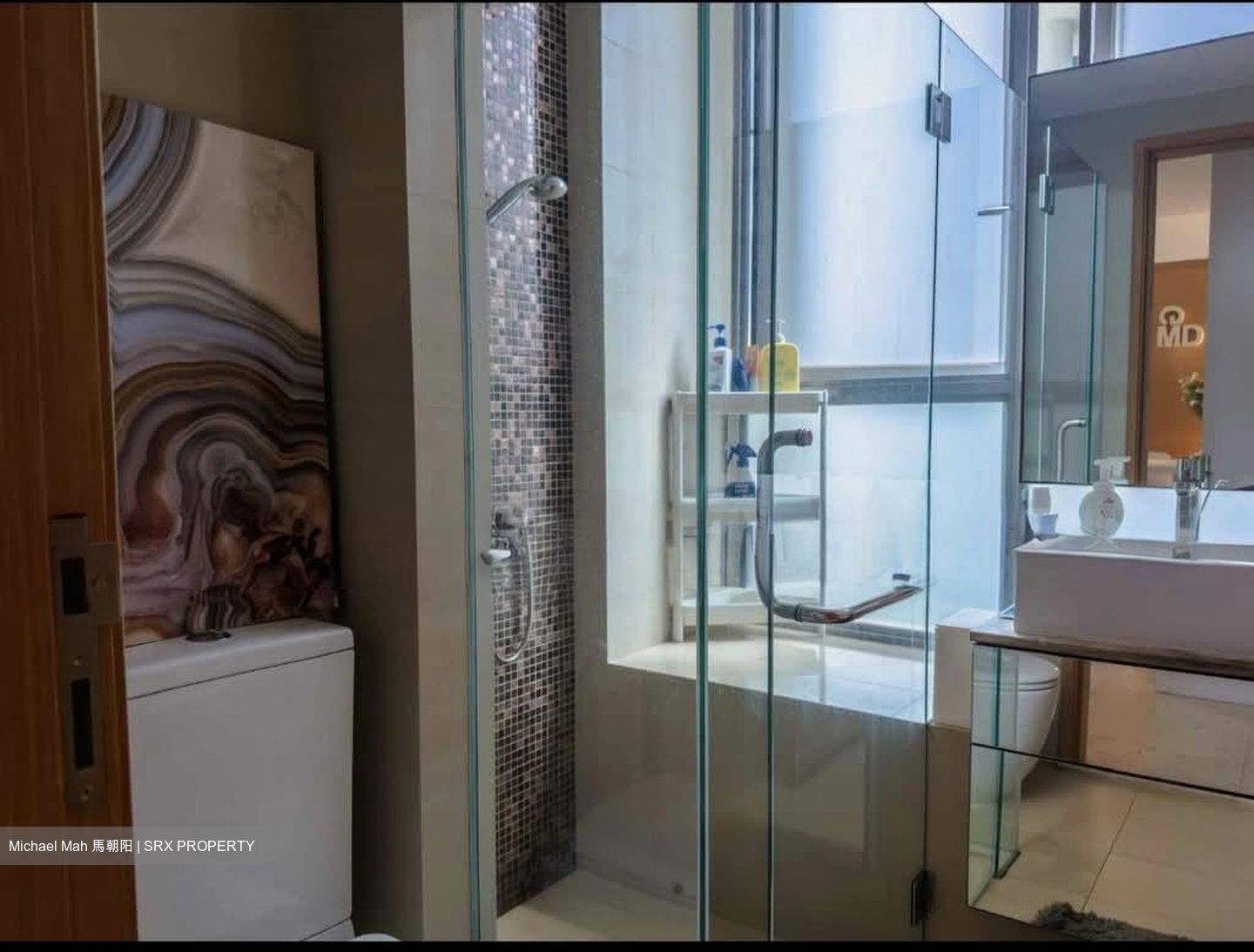 Angullia Park Residences @ Orchard (D10), Apartment #572936231